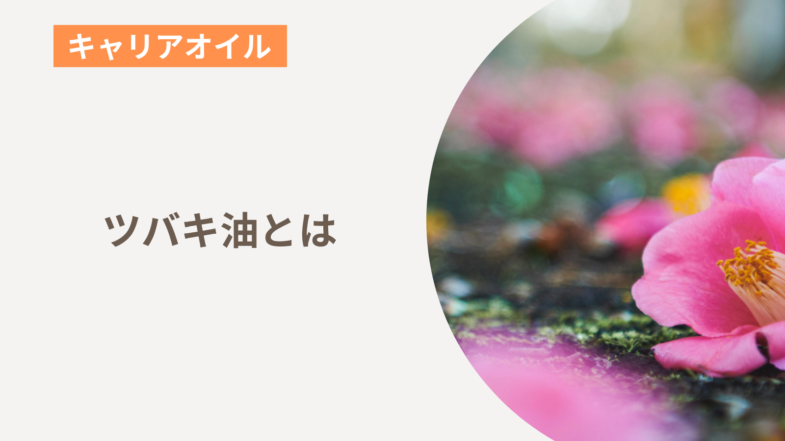 ツバキ油とは