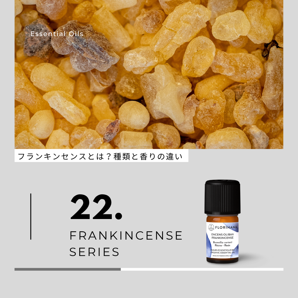 フランキンセンス精油とは?種類と香りの違い