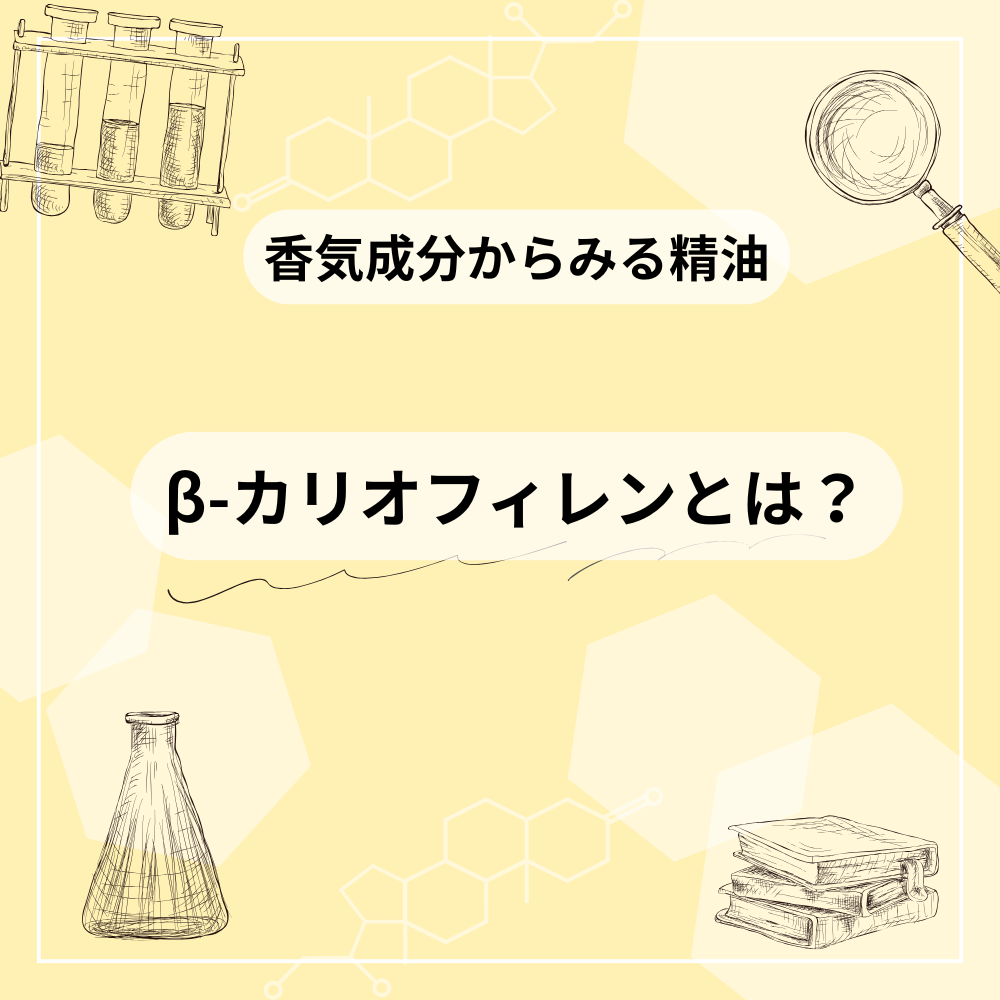 β-カリオフィレンとは?含まれる精油と香りの楽しみ方