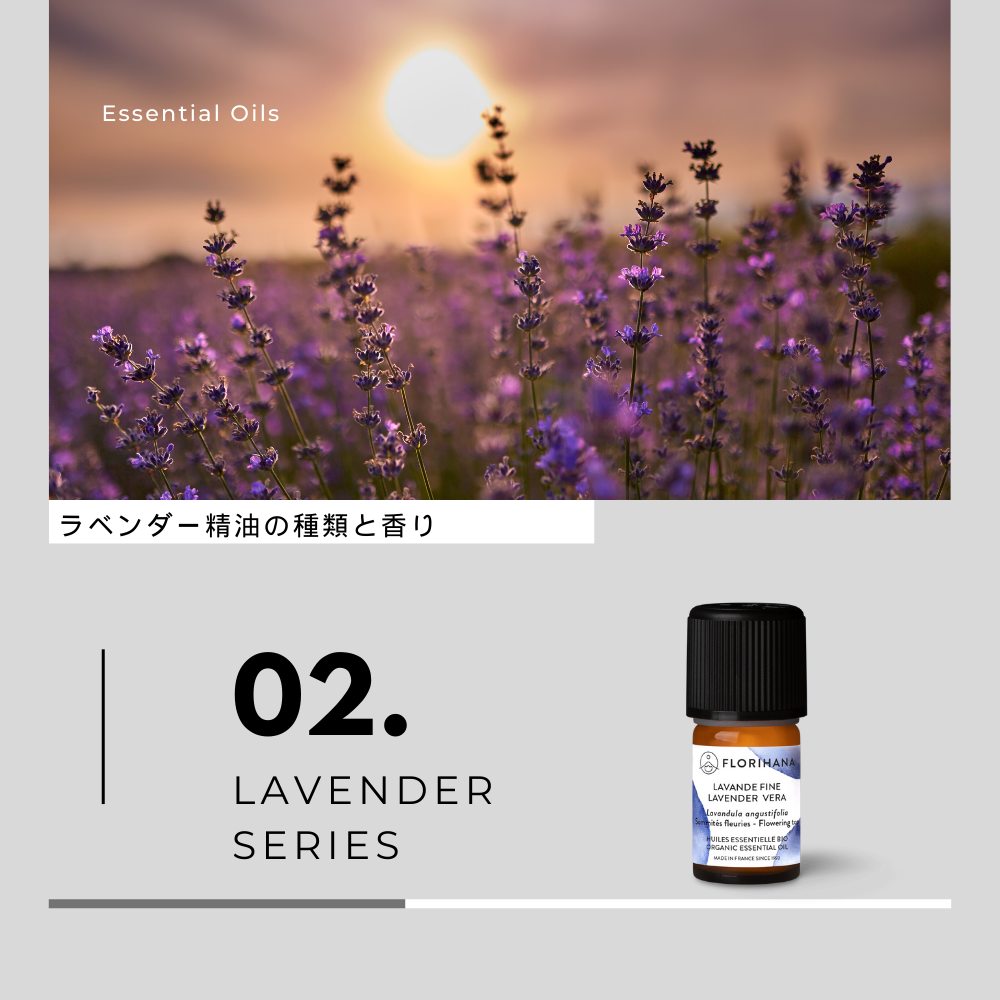 ラベンダー精油の種類と香り