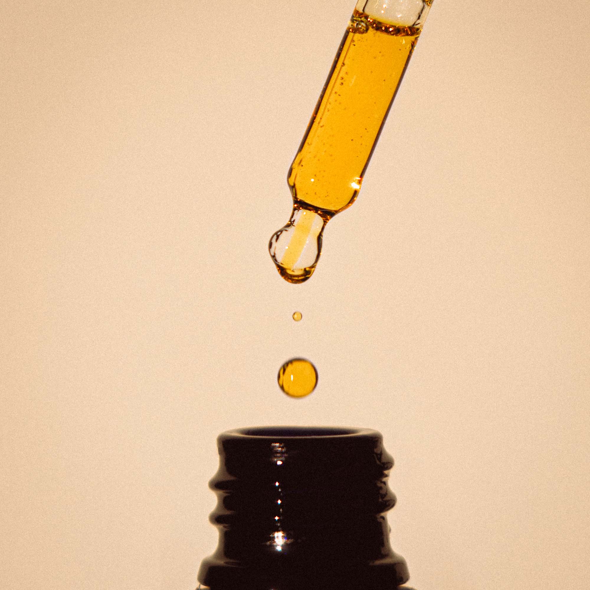 キンベリー - フロリハナ FLORIHANA - 【公式オンラインショップ】