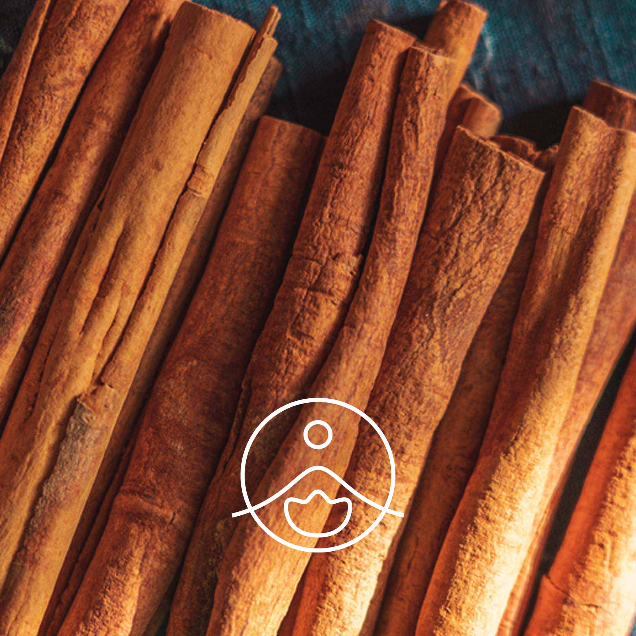 シナモンカッシア・オーガニック【エッセンシャルオイル/精油】 - フロリハナ FLORIHANA - 【公式オンラインショップ】