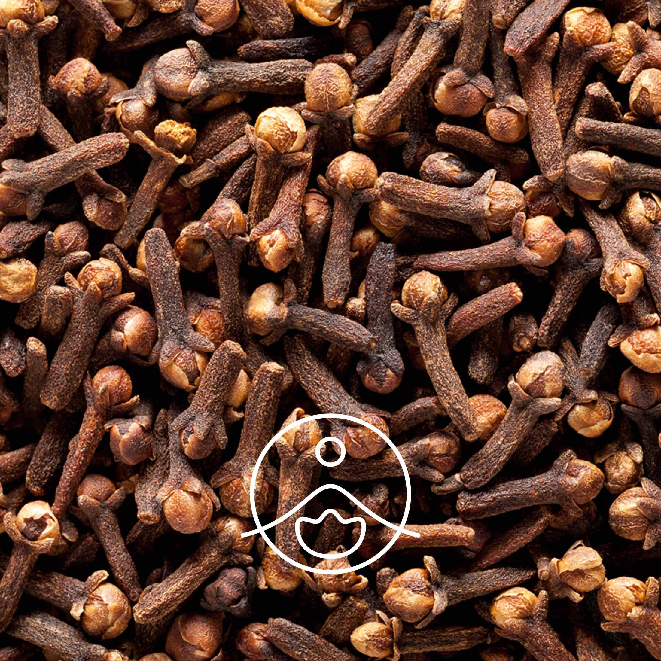 クローブバット・オーガニック【エッセンシャルオイル/精油】 - フロリハナ FLORIHANA - 【公式オンラインショップ】