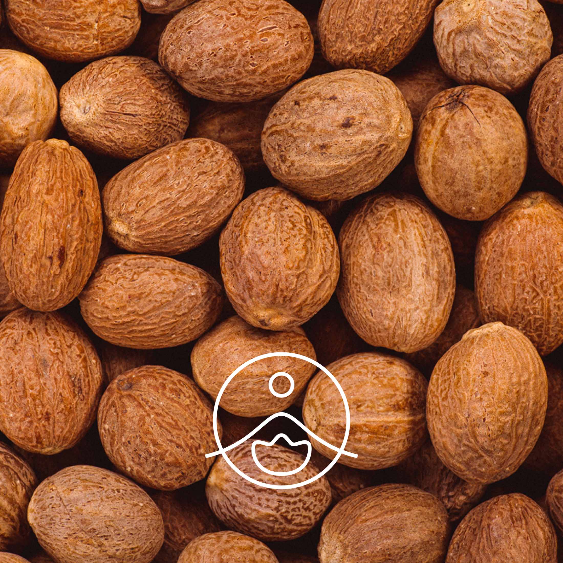 ナツメグ・オーガニック【エッセンシャルオイル/精油】 - フロリハナ FLORIHANA - 【公式オンラインショップ】