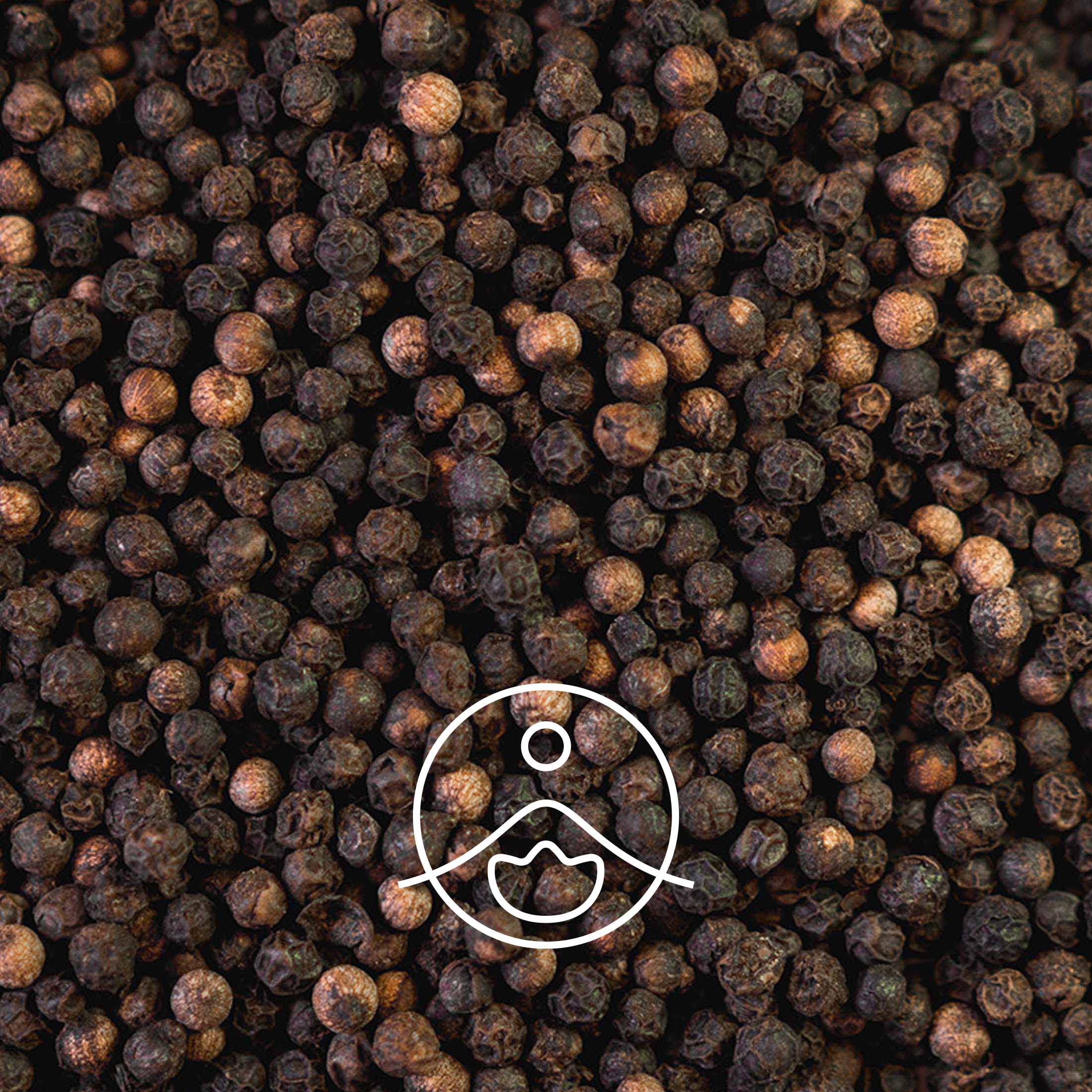 ブラックペッパー・オーガニック【エッセンシャルオイル/精油】 - フロリハナ FLORIHANA - 【公式オンラインショップ】