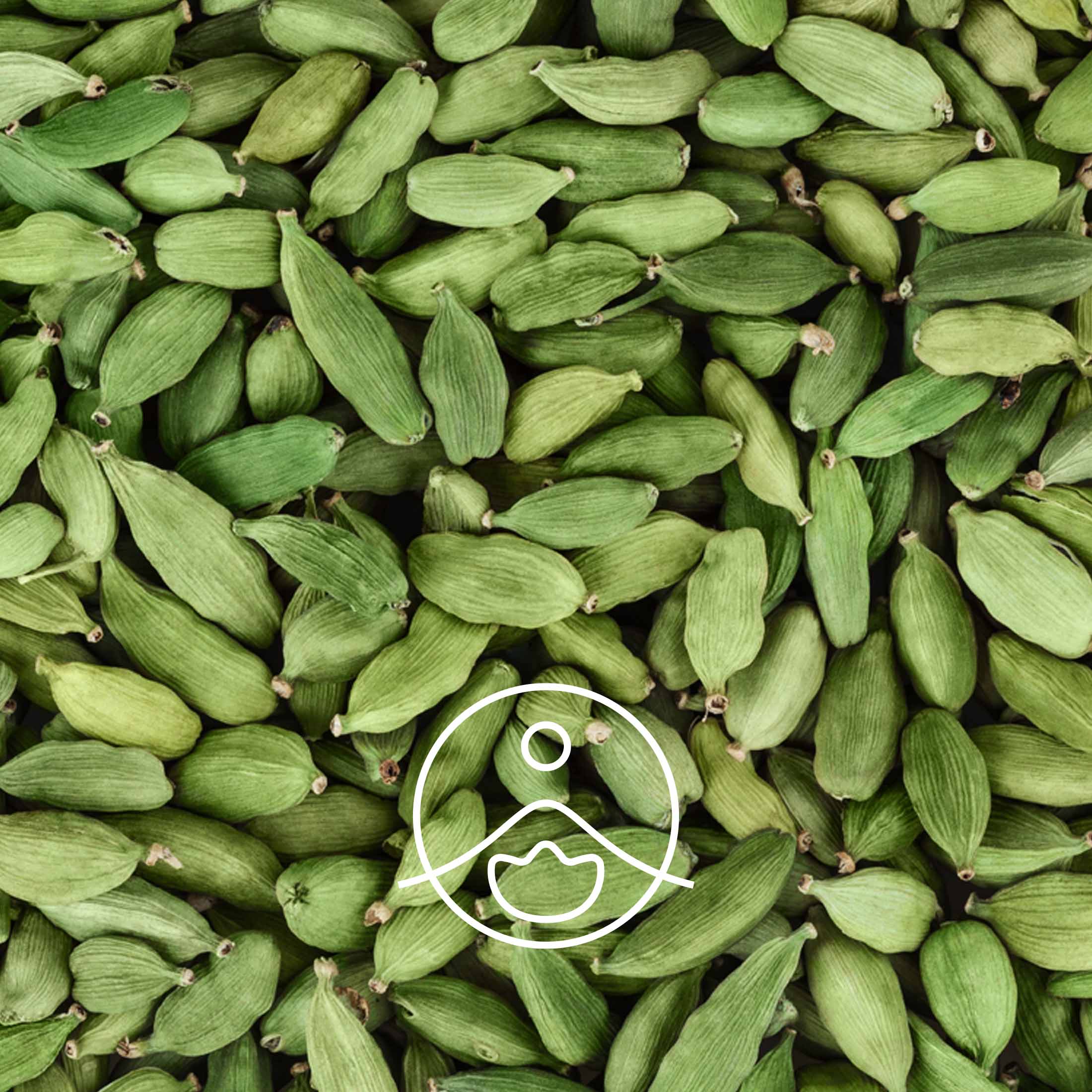 カルダモン・オーガニック【エッセンシャルオイル/精油】 - フロリハナ FLORIHANA - 【公式オンラインショップ】