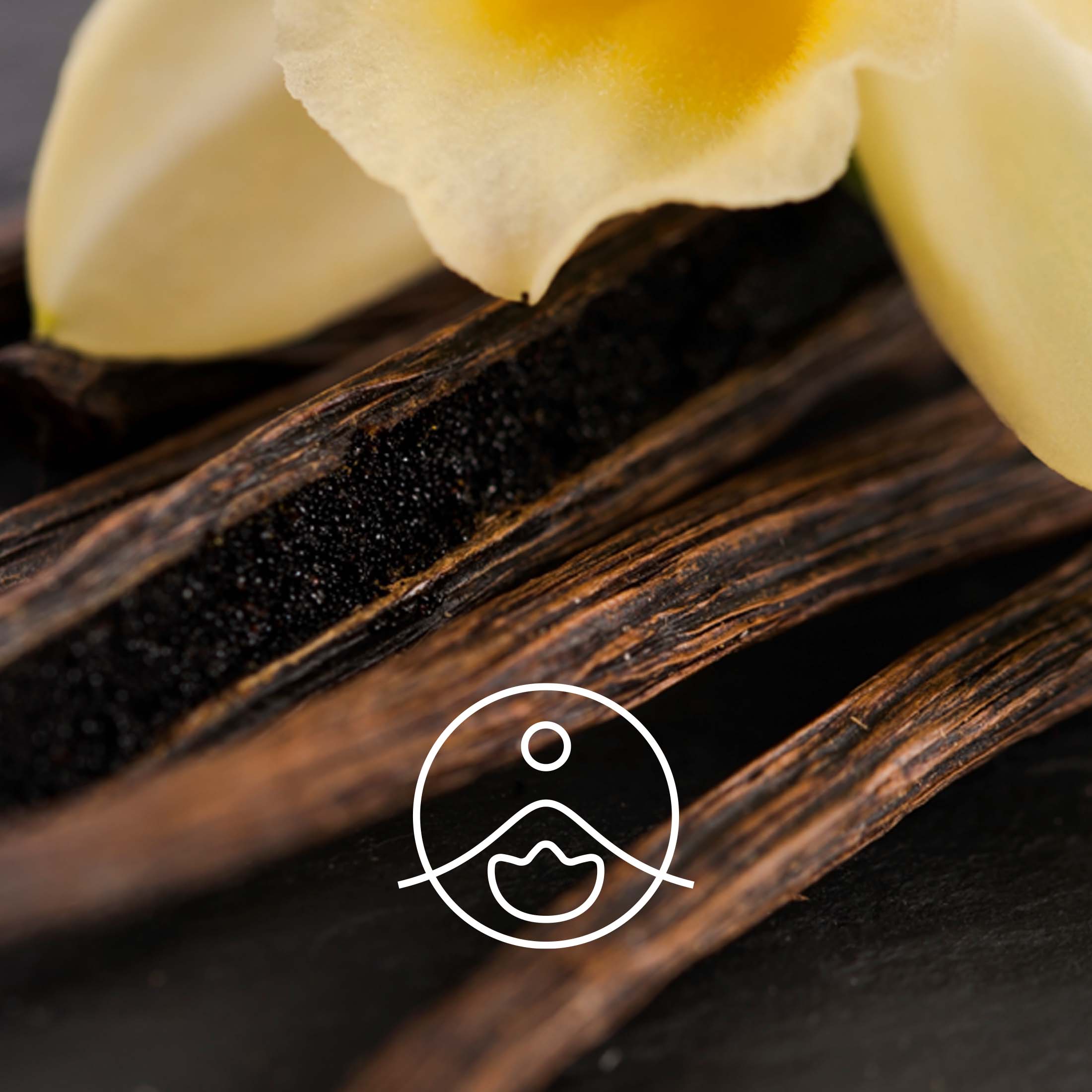 バニラオレオレジン・オーガニック【エッセンシャルオイル/精油】 - フロリハナ FLORIHANA - 【公式オンラインショップ】