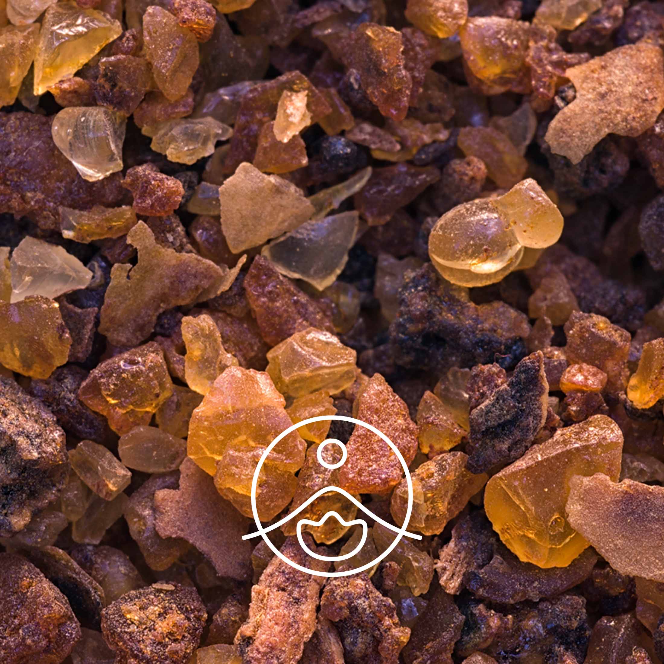 ミルラ・オーガニック【エッセンシャルオイル/精油】 - フロリハナ FLORIHANA - 【公式オンラインショップ】