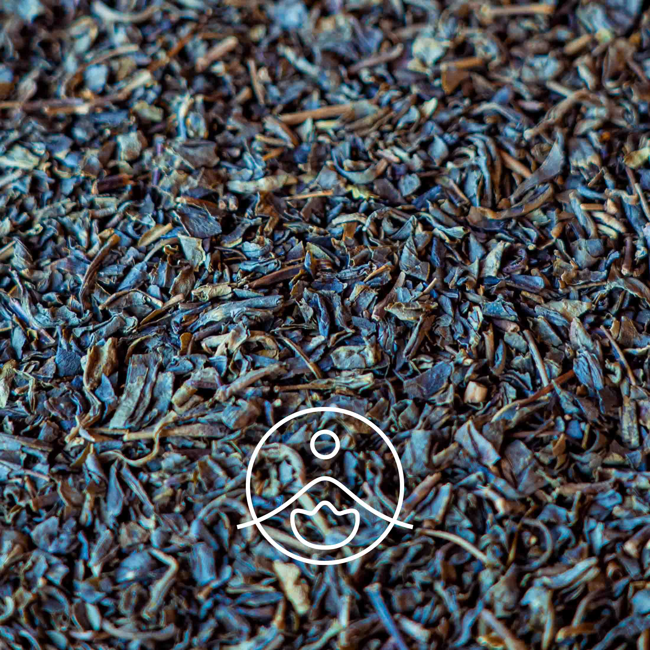 グリーンティー・オーガニック【フローラルウォーター/芳香蒸留水】 - フロリハナ FLORIHANA - 【公式オンラインショップ】