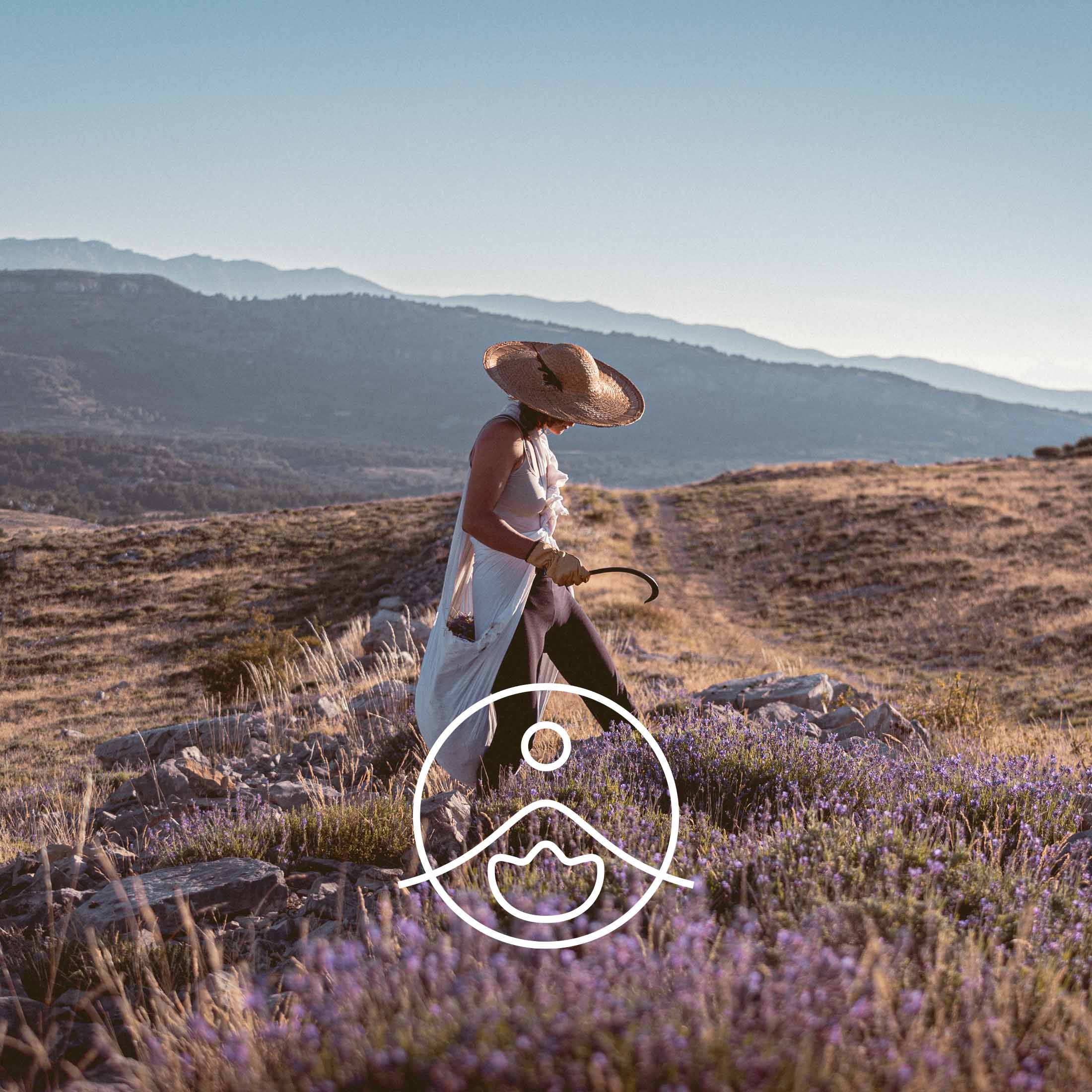 ラベンダーベラワイルド(野生種)・オーガニック【フローラルウォーター/芳香蒸留水】 - フロリハナ FLORIHANA - 【公式オンラインショップ】