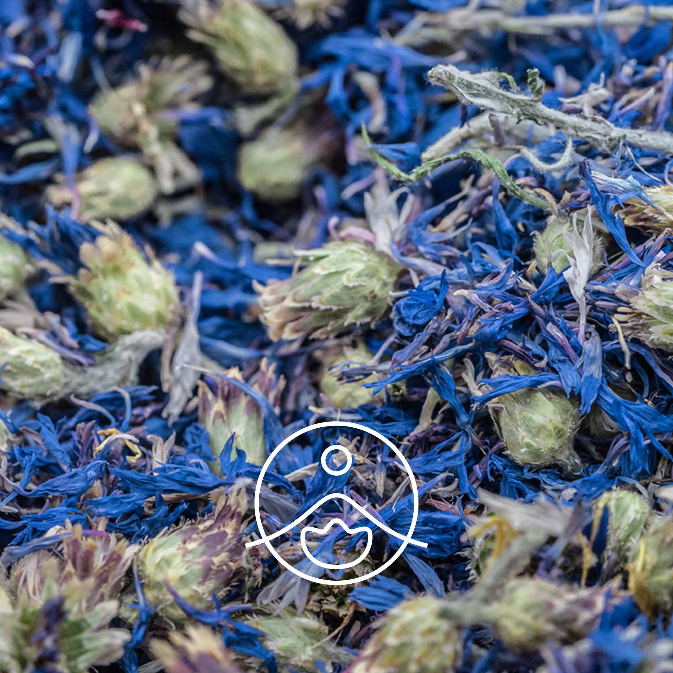 コーンフラワー・オーガニック【フローラルウォーター/芳香蒸留水】 - フロリハナ FLORIHANA - 【公式オンラインショップ】