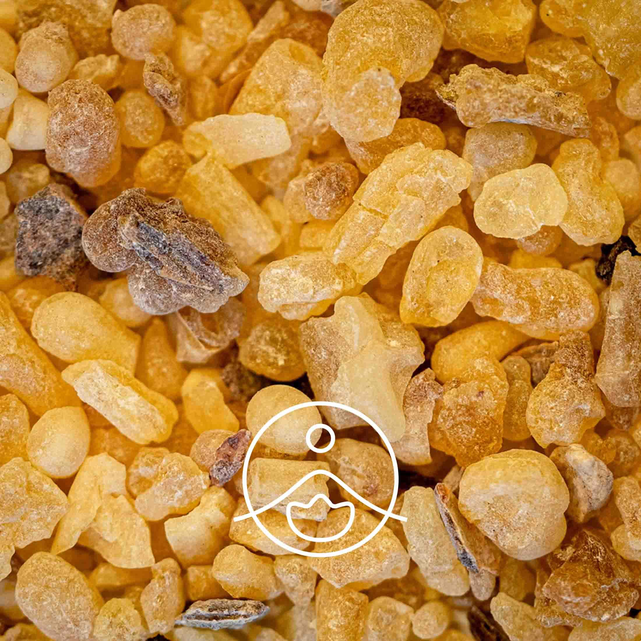 フランキンセンス・オーガニック【フローラルウォーター/芳香蒸留水】 - フロリハナ FLORIHANA - 【公式オンラインショップ】