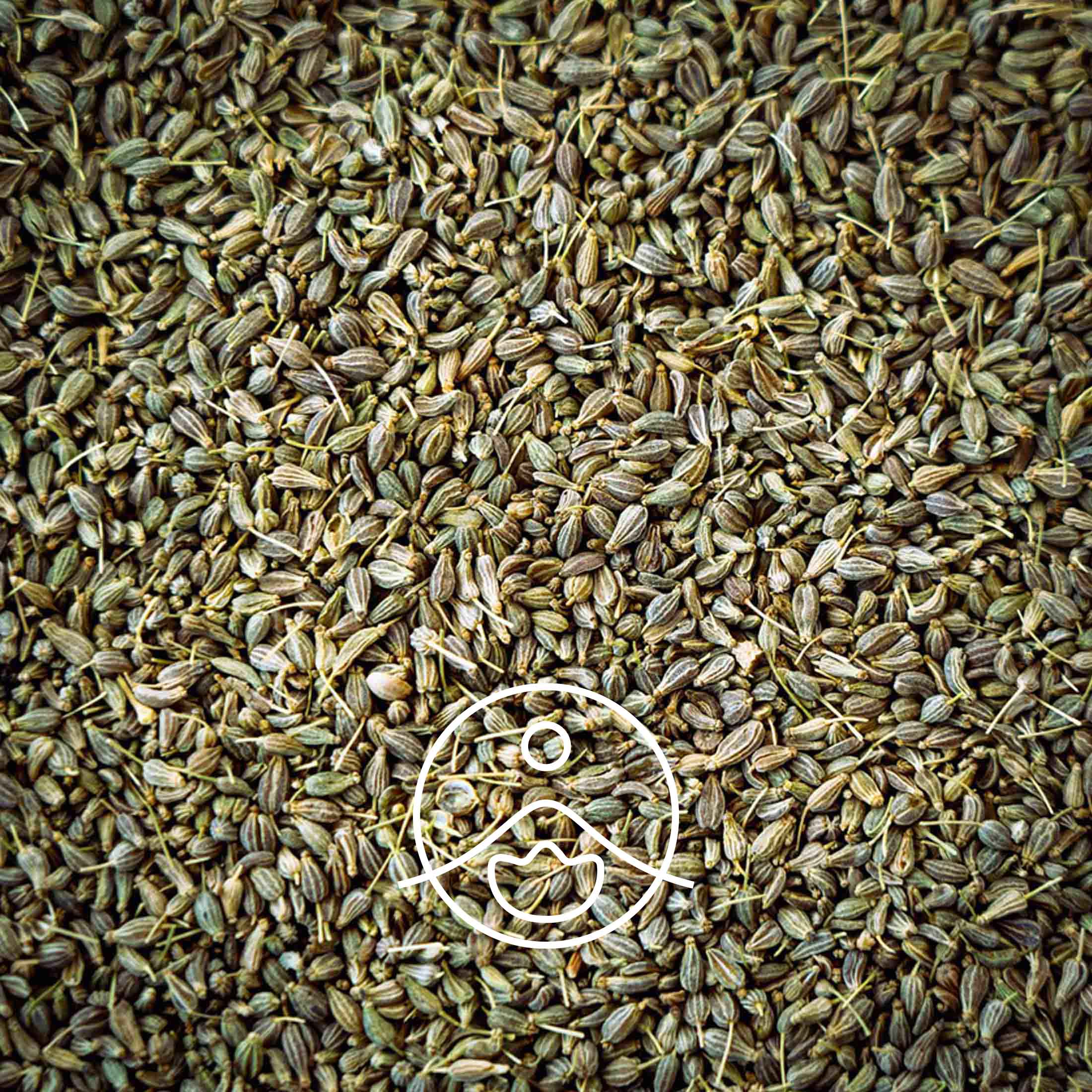 アニス【エッセンシャルオイル/精油】 - フロリハナ FLORIHANA - 【公式オンラインショップ】