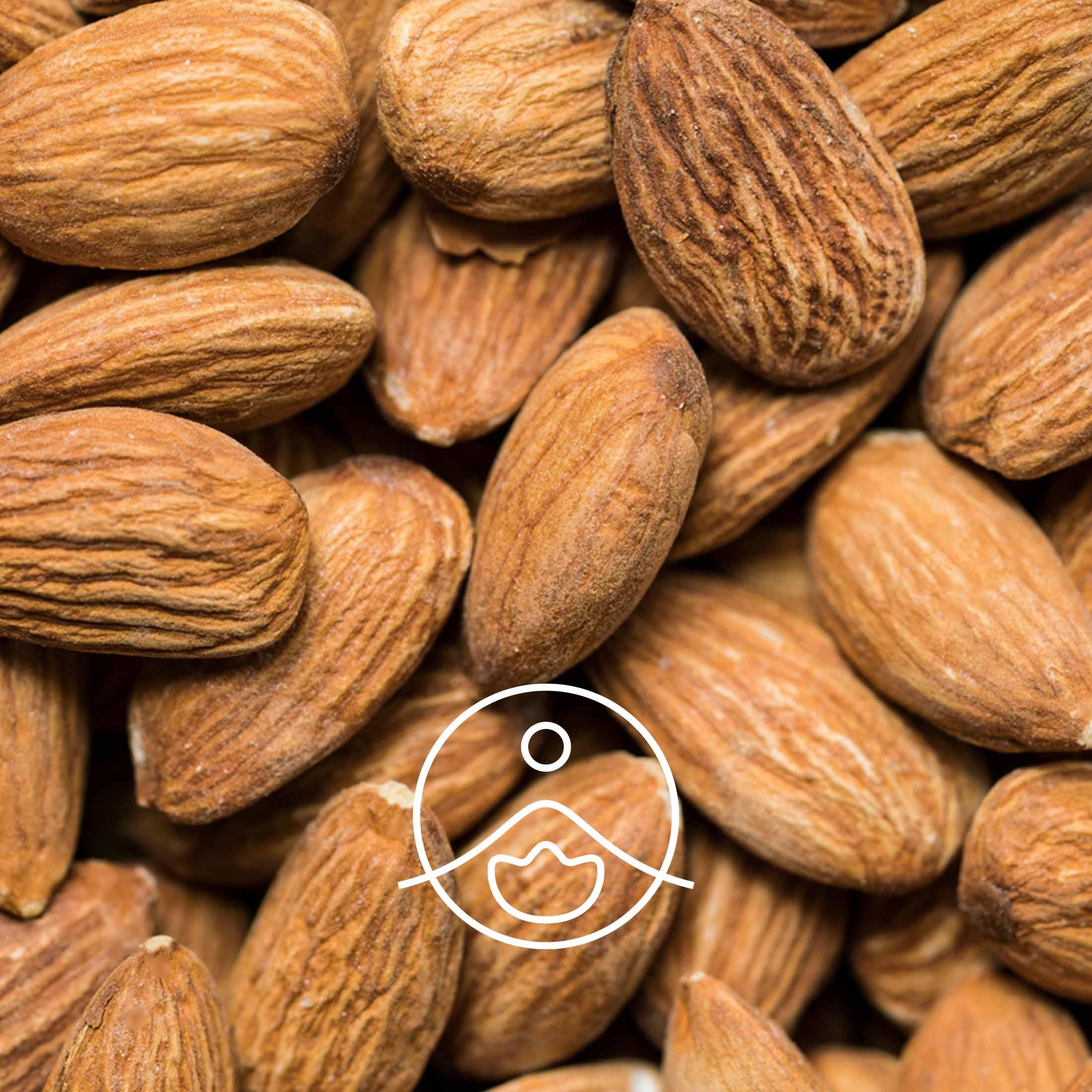 スイートアーモンド・オーガニック・未精製【キャリアオイル/植物油】 - フロリハナ FLORIHANA - 【公式オンラインショップ】