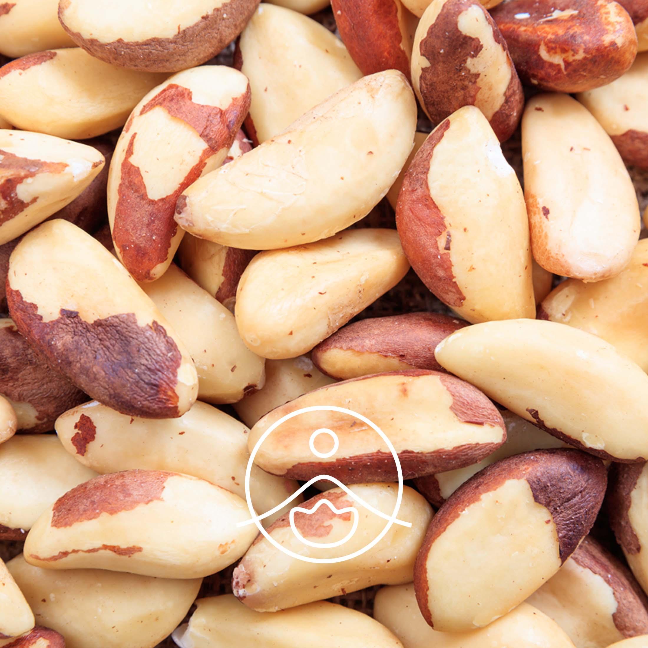 ブラジルナッツ・オーガニック・未精製【キャリアオイル/植物油】 - フロリハナ FLORIHANA - 【公式オンラインショップ】