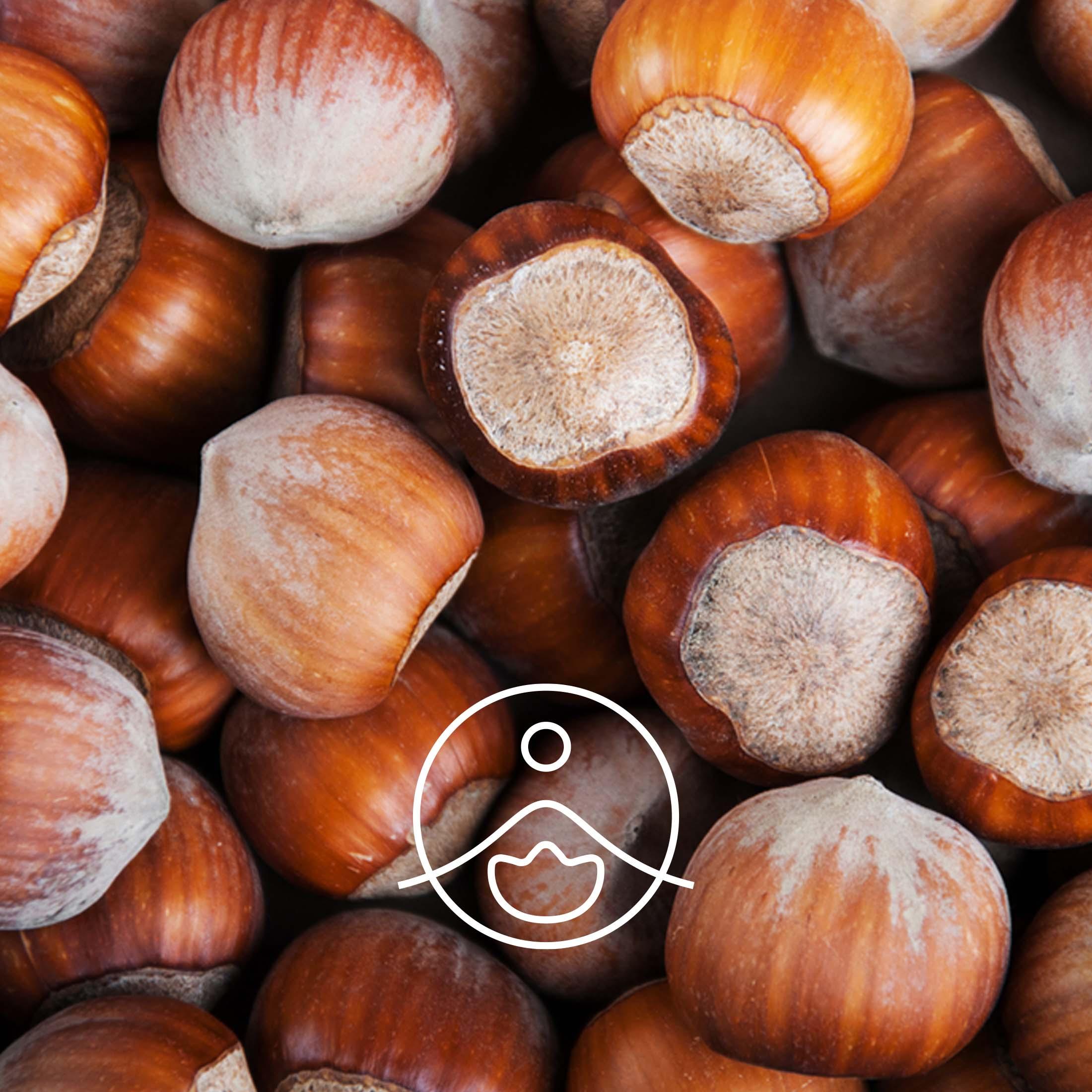 ヘーゼルナッツ・オーガニック ・未精製【キャリアオイル/植物油】 - フロリハナ FLORIHANA - 【公式オンラインショップ】