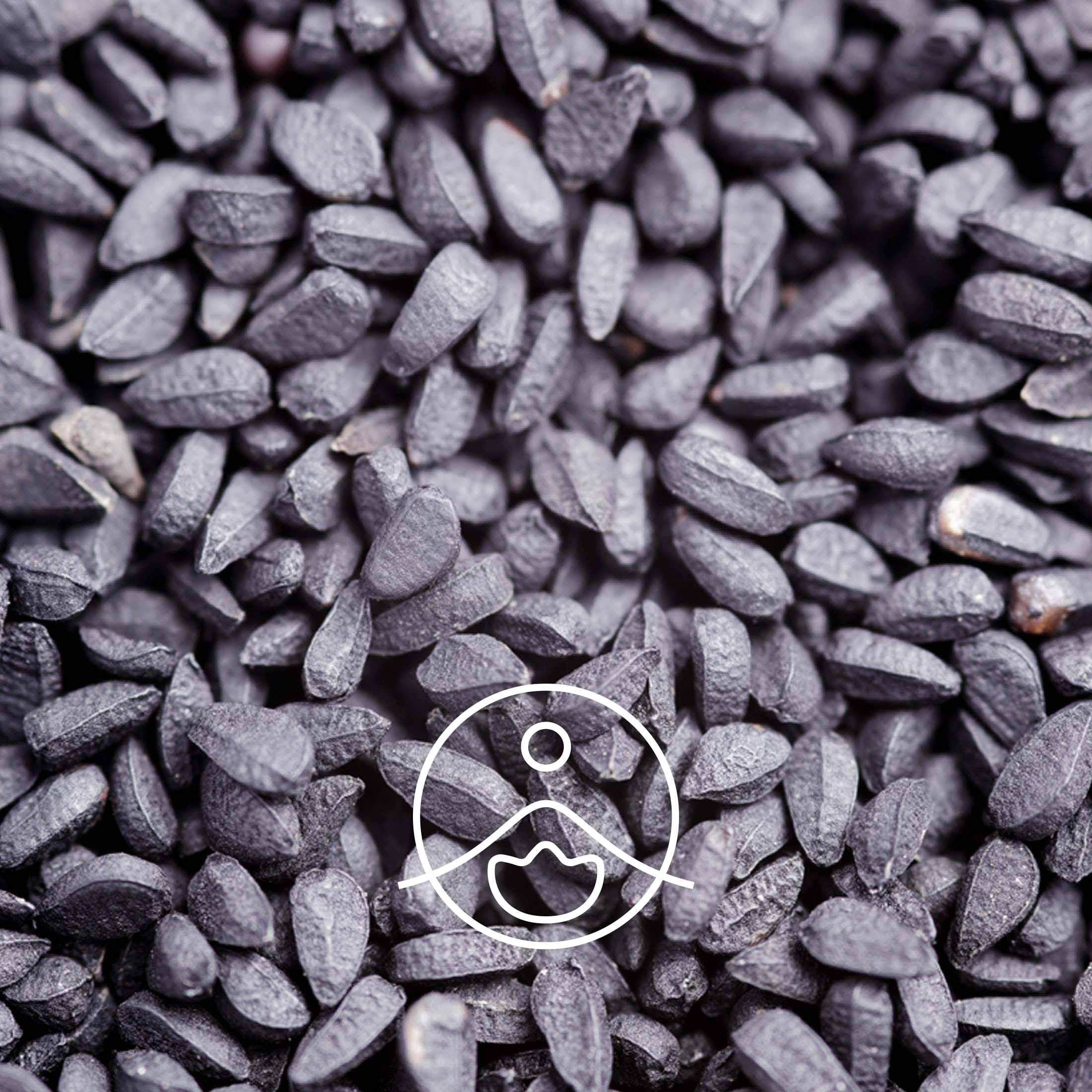 ブラッククミン・オーガニック・未精製【キャリアオイル/植物油】 - フロリハナ FLORIHANA - 【公式オンラインショップ】