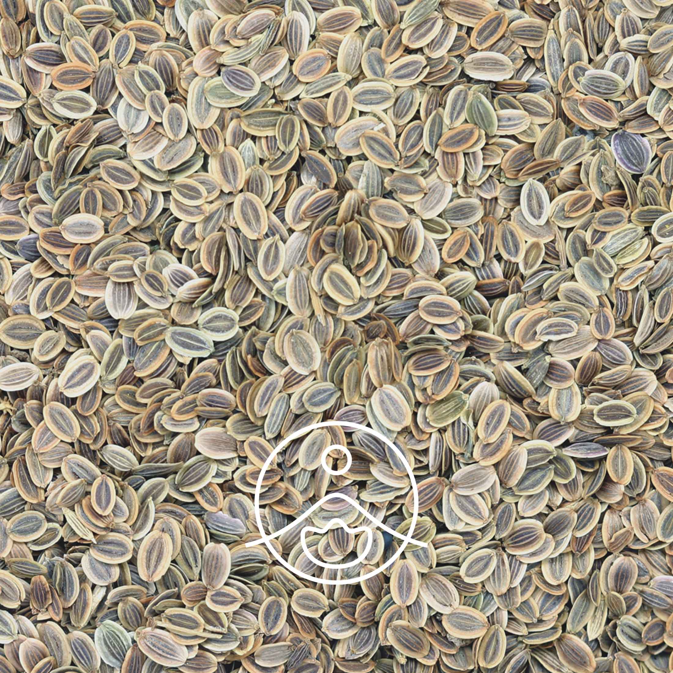 ディルシード・オーガニック【エッセンシャルオイル/精油】 - フロリハナ FLORIHANA - 【公式オンラインショップ】