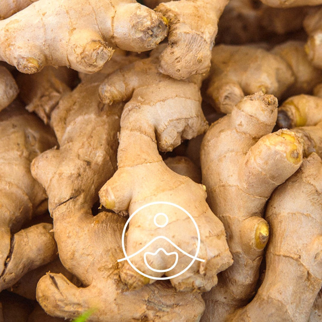 ジンジャーウォーター・オーガニック