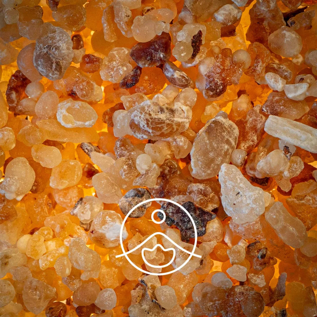 フランキンセンス・サクラ精油