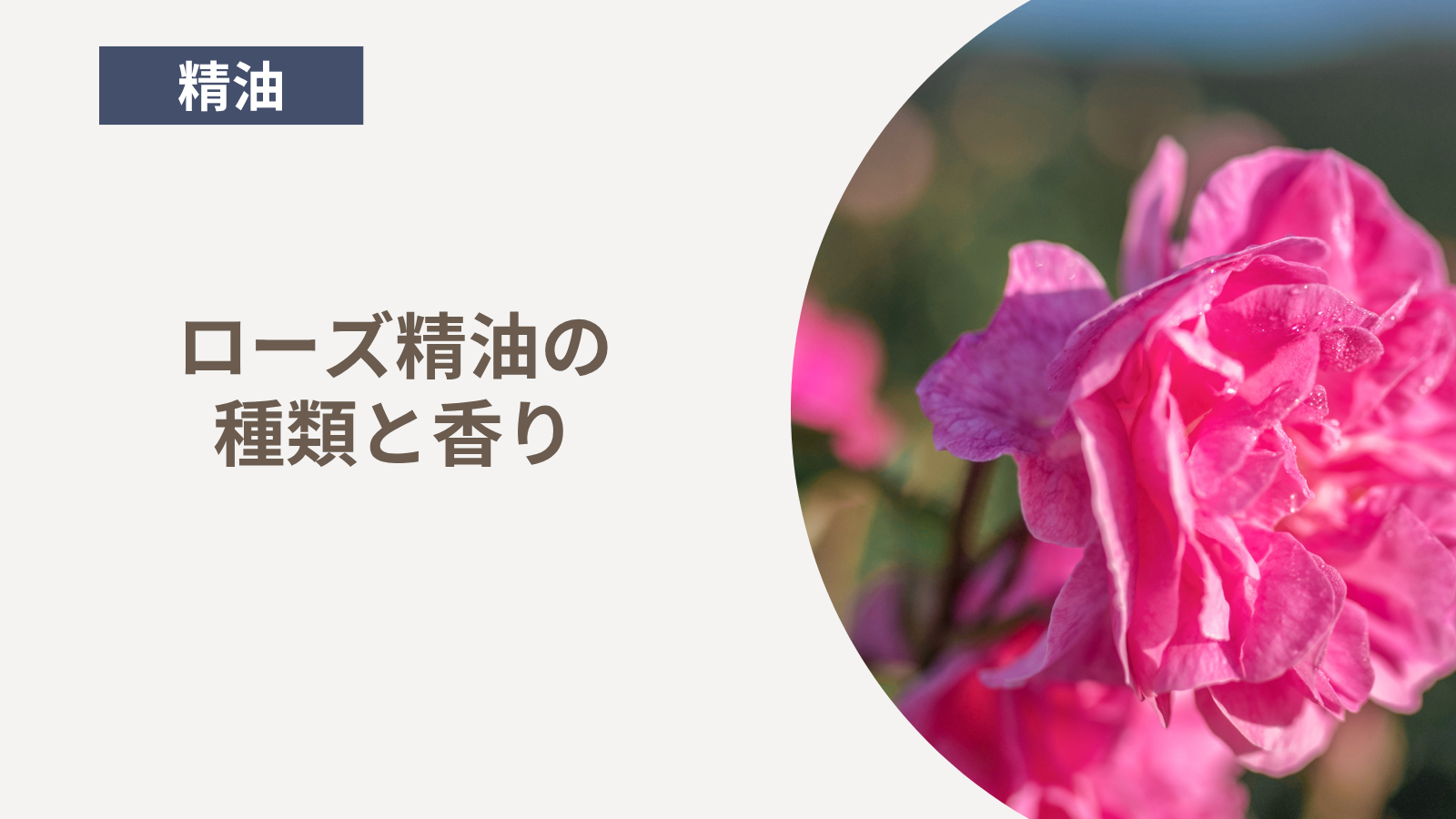 ローズ精油の種類と香り