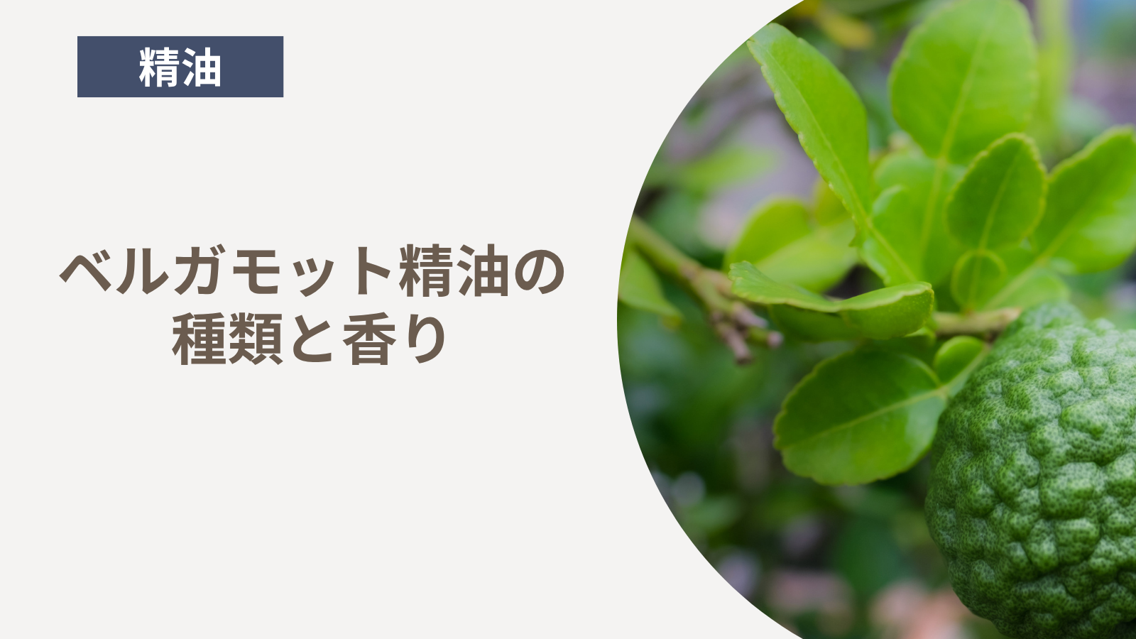 ベルガモット精油の種類と香り