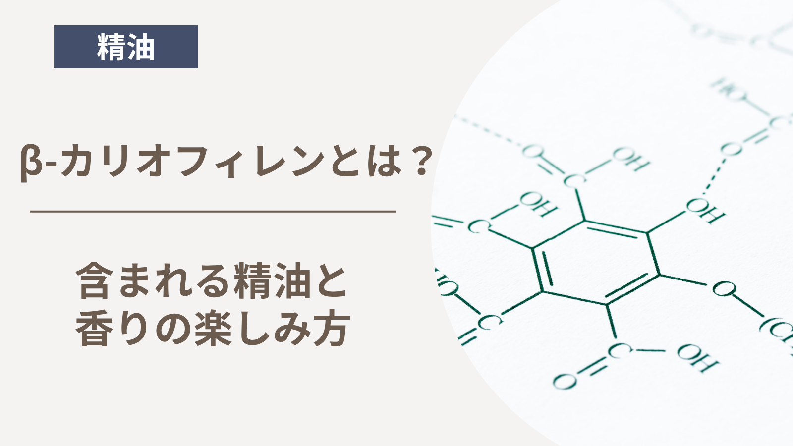 β-カリオフィレンとは？含まれる精油と香りの楽しみ方