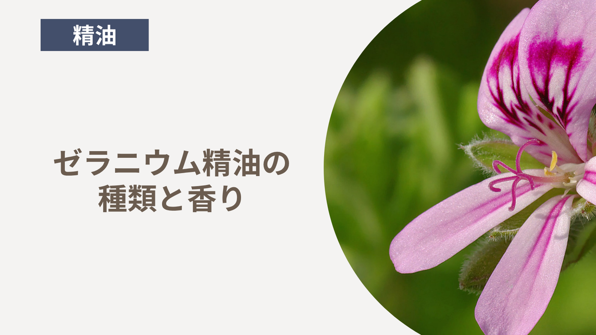 ゼラニウム精油の種類と香り