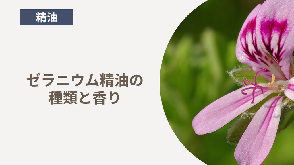 ゼラニウム精油の種類と香り