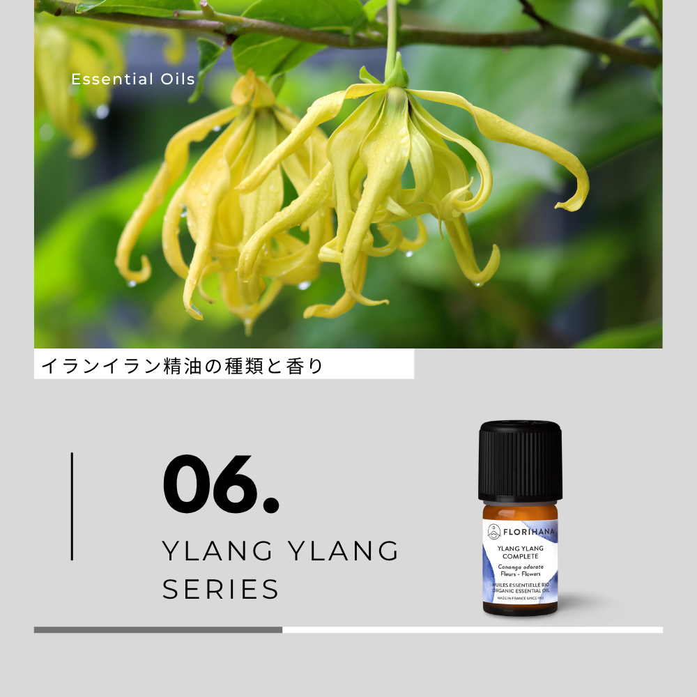 AROMA_MEMO_ylangylang.png?v=