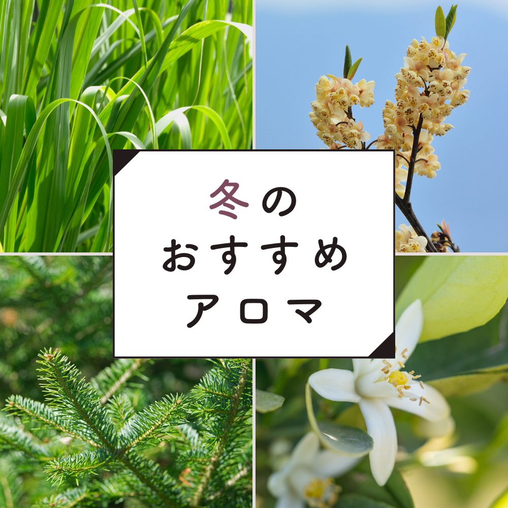 冬のおすすめアロマ