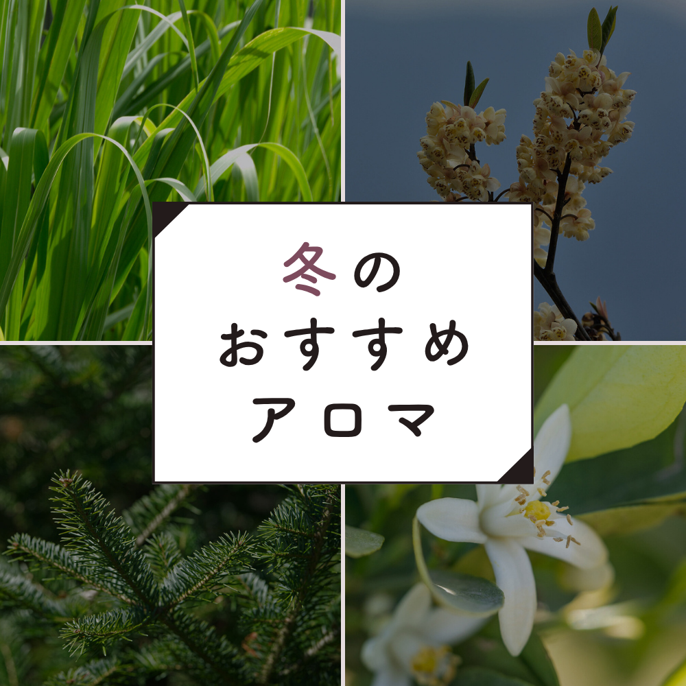 冬のおすすめアロマ