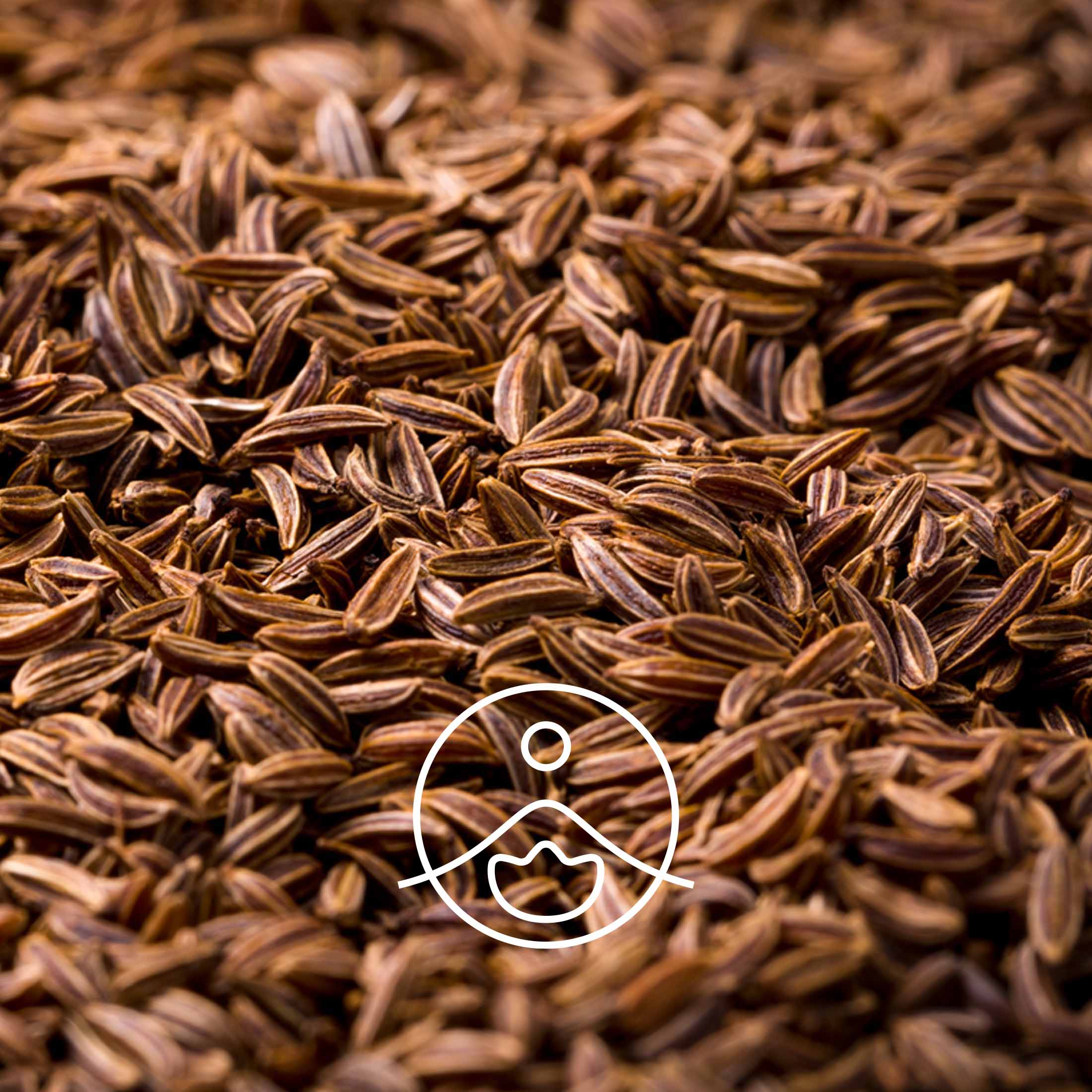 宇宙飛行士 エッセンシャルオイル 2個 シングル エッセンシャルオイル