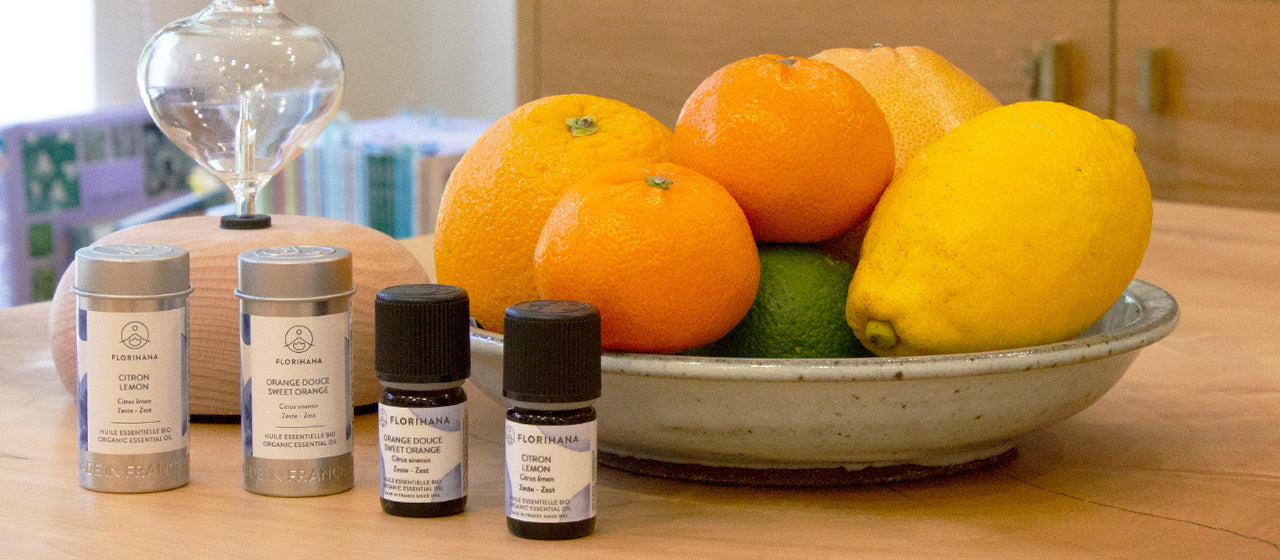 柑橘系精油の種類と香り