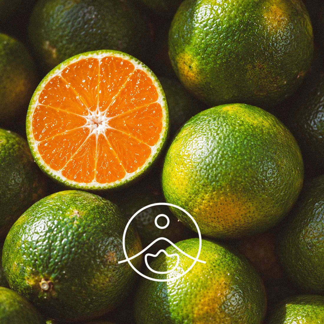 グリーンマンダリン精油/Green Mandarin