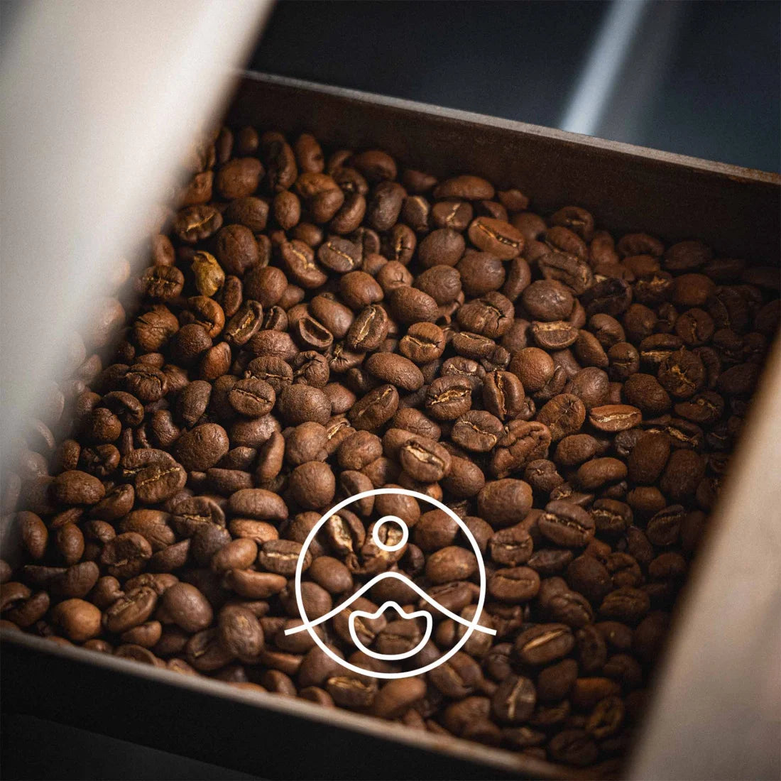 コーヒーオイル・超臨界抽出/CO2 Extracts Coffee Oil
