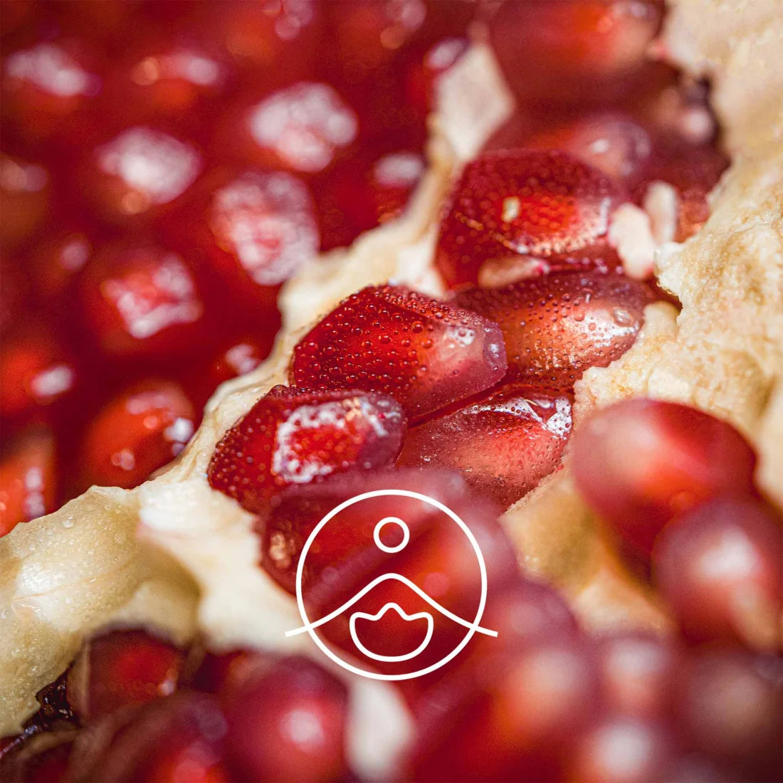 ザクロシードオイル・オーガニック・超臨界抽出